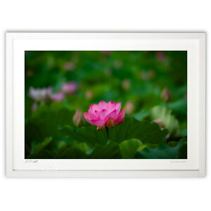 ŉ tɕԘ@ (bluewoods07)CeA Ǌ| z i |X^[ A[g rO ւɏ  v[g _ A[gt[