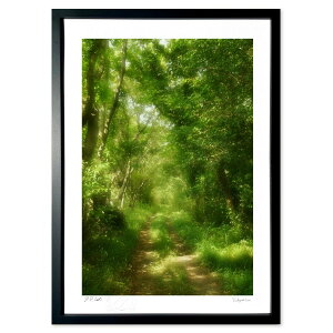 ŉ ؘR̓icj (@)CeA Ǌ| z i |X^[ A[g rO ւɏ  v[g _ A[gt[