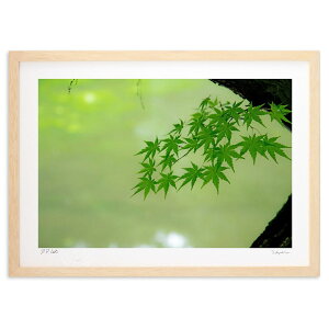 ŉ ā@B@݂@B (쌛)CeA Ǌ| z i |X^[ A[g rO ւɏ  v[g _ A[gt[