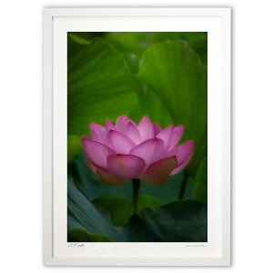 ŉ ޘ@̉ (bluewoods07)CeA Ǌ| z i |X^[ A[g rO ւɏ  v[g _ A[gt[