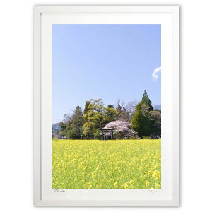 ŉ t̕ (@)CeA Ǌ| z i |X^[ A[g rO ւɏ  v[g _ A[gt[