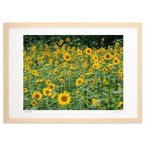 ŉ Ė{ (VՂ܂񂶂イ)CeA Ǌ| z i |X^[ A[g rO ւɏ  v[g _ A[gt[