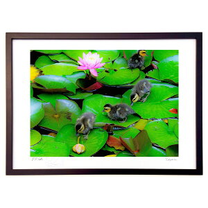 ŉ @̗tɗVԐ@@xr[@ (쌛)