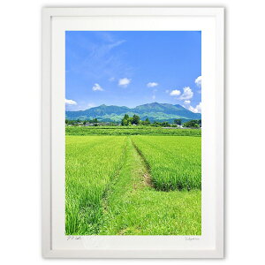 ŉ ċx݂̑zo (mitan)CeA Ǌ| z i |X^[ A[g rO ւɏ  v[g _ A[gt[