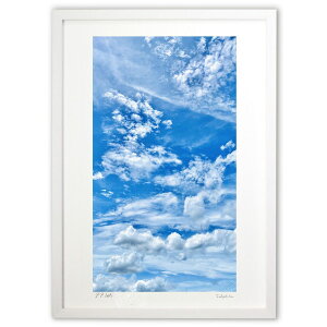 ŉ _ (mitan)CeA Ǌ| z i |X^[ A[g rO ւɏ  v[g _ A[gt[