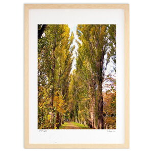 ŉ H̑ (Xm[oj)CeA Ǌ| z i |X^[ A[g rO ւɏ  v[g _ A[gt[