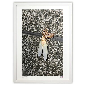 ŉ i (A)CeA Ǌ| z i |X^[ A[g rO ւɏ  v[g _ A[gt[