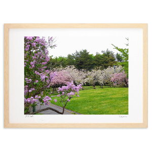 yX[p[SALEzzŉ sÑOf[V (Xm[oj)CeA Ǌ| z i |X^[ A[g rO ւɏ  v[g _ A[gt[