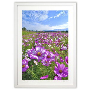 ŉ ͐~̃RXX (mitan)CeA Ǌ| z i |X^[ A[g rO ւɏ  v[g _ A[gt[