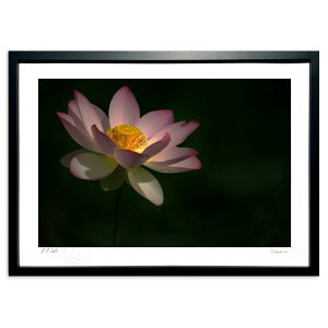 ŉ ؓU (ramble)CeA Ǌ| z i |X^[ A[g rO ւɏ  v[g _ A[gt[