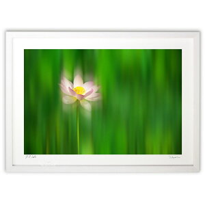 ŉ K^񂹂 (ramble)CeA Ǌ| z i |X^[ A[g rO ւɏ  v[g _ A[gt[