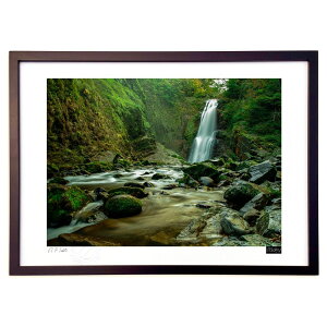 ŉ Hۑ (shiracam)CeA Ǌ| z i |X^[ A[g rO ւɏ  v[g _ A[gt[