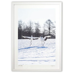 ŉ ~̃^`E ({ \i)CeA Ǌ| z i |X^[ A[g rO ւɏ  v[g _ A[gt[