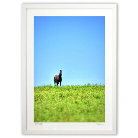 【スーパーSALE10％OFF】版画 ロンリーサラブレッド (blackswan)