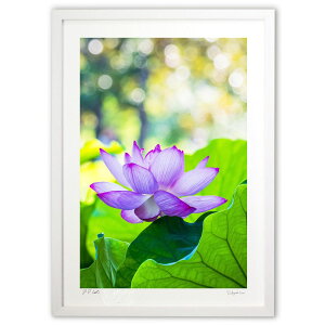 ŉ ߂@ (K.Osuka)CeA Ǌ| z i |X^[ A[g rO ւɏ  v[g _ A[gt[