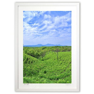 yX[p[SALEzzŉ ̑ (mitan)CeA Ǌ| z i |X^[ A[g rO ւɏ  v[g _ A[gt[