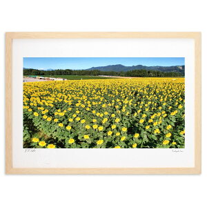 ŉ ̕ (recno4do)CeA Ǌ| z i |X^[ A[g rO ւɏ  v[g _ A[gt[