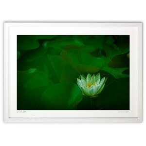 ŉ XC΂ɕ (bluewoods07)