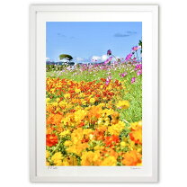 楽天市場】マリーゴールド(Marigold)（絵画｜アート・美術品・骨董品 