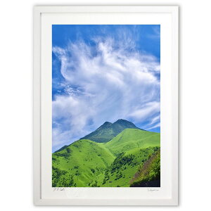 ŉ fRzx (mitan)CeA Ǌ| z i |X^[ A[g rO ւɏ  v[g _ A[gt[