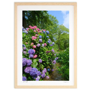 ŉ 炬̎z (h)CeA Ǌ| z i |X^[ A[g rO ւɏ  v[g _ A[gt[