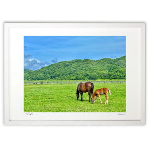 ŉ n̗ (blackswan)CeA Ǌ| z i |X^[ A[g rO ւɏ  v[g _ A[gt[