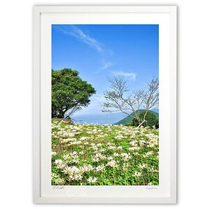 ŉ V̔ފ݉ (mitan)CeA Ǌ| z i |X^[ A[g rO ւɏ  v[g _ A[gt[