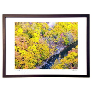 yX[p[SALEzzŉ Rk̍gt (Xm[oj)CeA Ǌ| z i |X^[ A[g rO ւɏ  v[g _ A[gt[