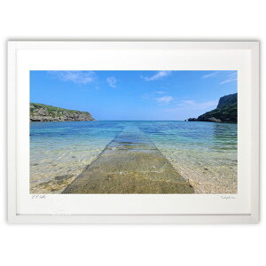 ŉ CւƑ (mameco)CeA Ǌ| z i |X^[ A[g rO ւɏ  v[g _ A[gt[