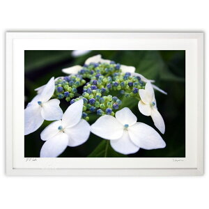 yX[p[SALEzzŉ ~J̉ (q)CeA Ǌ| z i |X^[ A[g rO ւɏ  v[g _ A[gt[