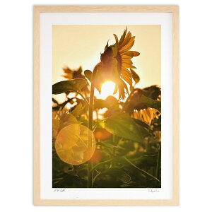 ŉ z (mitan)CeA Ǌ| z i |X^[ A[g rO ւɏ  v[g _ A[gt[