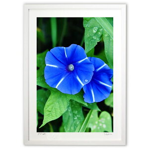 ŉ  (mitan)CeA Ǌ| z i |X^[ A[g rO ւɏ  v[g _ A[gt[