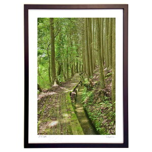 ŉ ѓ (mitan)CeA Ǌ| z i |X^[ A[g rO ւɏ  v[g _ A[gt[