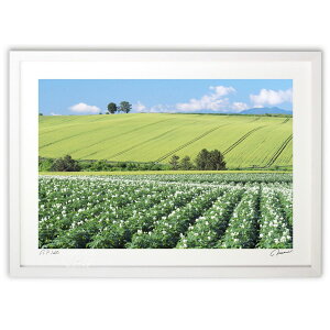 ŉ Ⴊ̉ԍ炭u (^)CeA Ǌ| z i |X^[ A[g rO ւɏ  v[g _ A[gt[