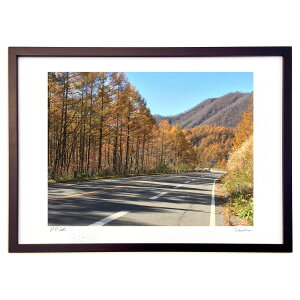 ŉ ̍gt ()CeA Ǌ| z i |X^[ A[g rO ւɏ  v[g _ A[gt[