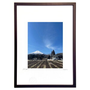 ŉ xmRƖP (Ђ䂫)CeA Ǌ| z i |X^[ A[g rO ւɏ  v[g _ A[gt[