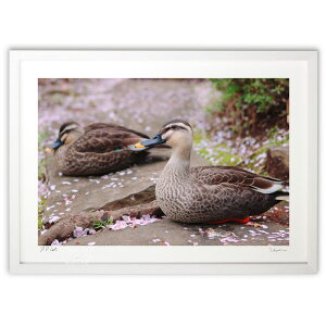 ŉ t̂ЂƂƂ (hory)CeA Ǌ| z i |X^[ A[g rO ւɏ  v[g _ A[gt[