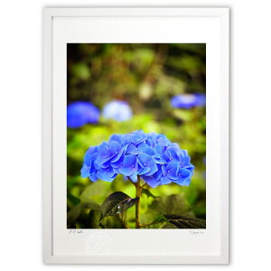 ŉ  (hory)CeA Ǌ| z i |X^[ A[g rO ւɏ  v[g _ A[gt[