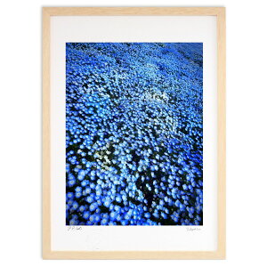 ŉ ltB̐Cɕ܂ (hory)CeA Ǌ| z i |X^[ A[g rO ւɏ  v[g _ A[gt[