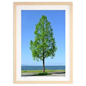 ŉ ΂Ɛ (͂ɂقւ)CeA Ǌ| z i |X^[ A[g rO ւɏ  v[g _ A[gt[