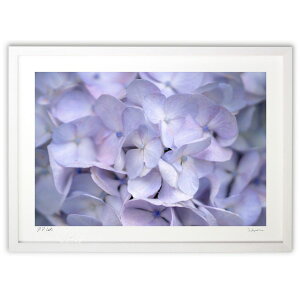 ŉ  (chappy.)CeA Ǌ| z i |X^[ A[g rO ւɏ  v[g _ A[gt[