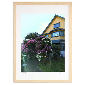 yX[p[SALEzzŉ [YA[` (Xm[oj)CeA Ǌ| z i |X^[ A[g rO ւɏ  v[g _ A[gt[