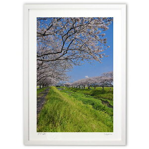 ŉ D̉Ԍa (mitan)CeA Ǌ| z i |X^[ A[g rO ւɏ  v[g _ A[gt[