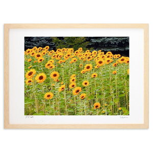 ŉ  (Xm[oj)CeA Ǌ| z i |X^[ A[g rO ւɏ  v[g _ A[gt[