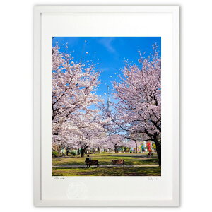 ŉ  (mameco)CeA Ǌ| z i |X^[ A[g rO ւɏ  v[g _ A[gt[