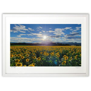 ŉ Ђ܂ (mameco)CeA Ǌ| z i |X^[ A[g rO ւɏ  v[g _ A[gt[