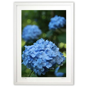 ŉ Ă҂ (mucoa)CeA Ǌ| z i |X^[ A[g rO ւɏ  v[g _ A[gt[