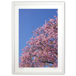 ŉ ȂɂȂƋ (w)CeA Ǌ| z i |X^[ A[g rO ւɏ  v[g _ A[gt[