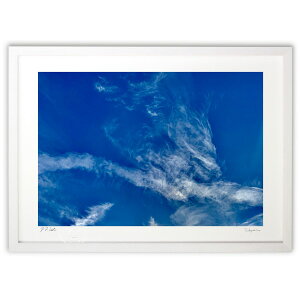 yX[p[SALEzzŉ  ()CeA Ǌ| z i |X^[ A[g rO ւɏ  v[g _ A[gt[