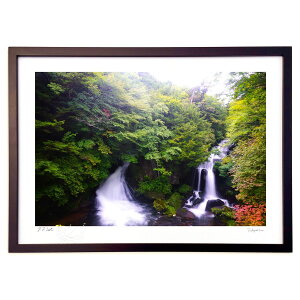 yX[p[SALEzzŉ ̑ɖ (yumeno)CeA Ǌ| z i |X^[ A[g rO ւɏ  v[g _ A[gt[